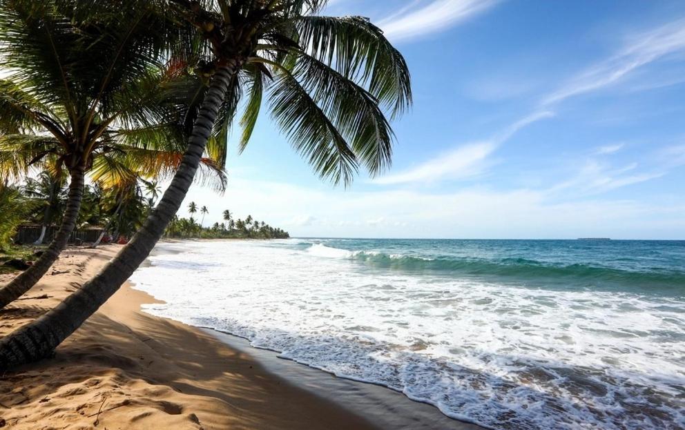 Hostel Suites Barra Grande 巴拉格兰德 外观 照片