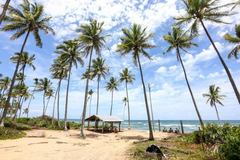 Hostel Suites Barra Grande 巴拉格兰德 外观 照片